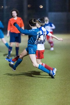 Bild 495 - F SC Alstertal-Langenhorn - Hamburger SV 3 : Ergebnis: 2:2